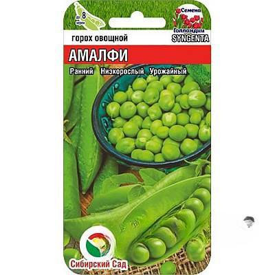 Горох Амалфи СибСад Ц