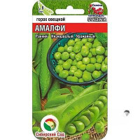 Горох Амалфи СибСад Ц