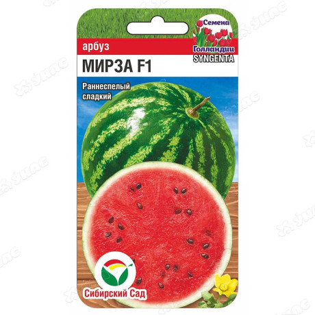 Арбуз Мирза СибСад Ц