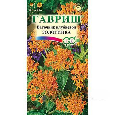 Ваточник Золотинка Гавриш Ц х10