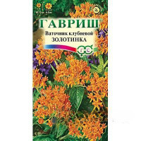 Ваточник Золотинка Гавриш Ц х10