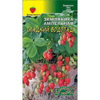 Земляника Сладкий водопад ЦветСад Ц
