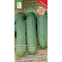 Огурец Лакомка Поиск Ц