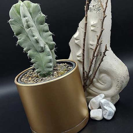 Горшок 0,90 л золотой 103/12.5-2 х16