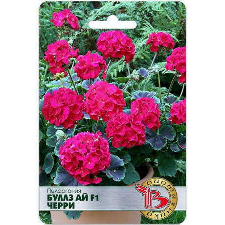 Пеларгония Буллз Ай Черри Биотехника Ц