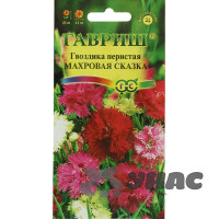 Гвоздика Сказка перистая махр Гавриш Ц