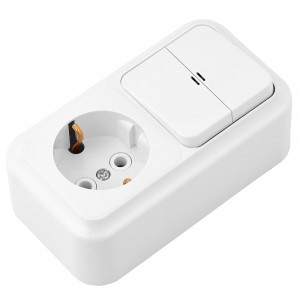 Bylectrica Пралеска блок (роз. 16А + 2 кл. выкл. 10А) ОУ бел. (земля, инд.) 2В-РЦ-569