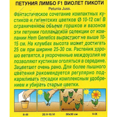 Петуния Лимбо виолет пикоти Аэлита