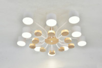 General Люстра 10GX53 50W 690х200 230V белый, мет/дер Альберто без пульта IP20 662224