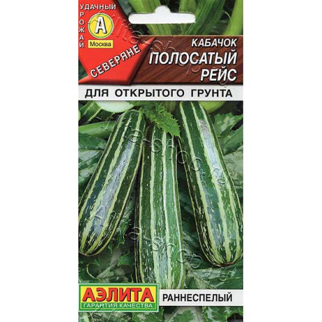 Кабачок Полосатый рейс цуккини Аэлита Ц