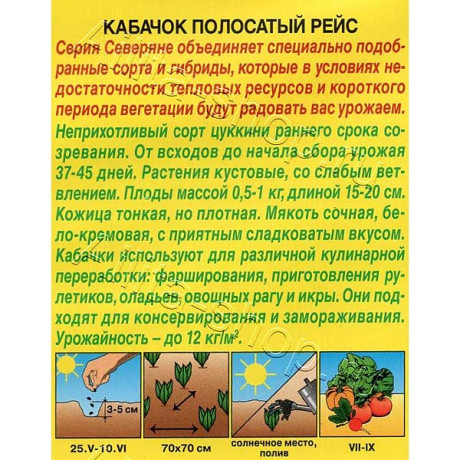 Кабачок Полосатый рейс цуккини Аэлита Ц