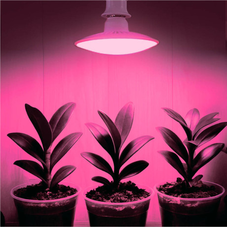 INBLOOM Лампа светодиодная для растений 72LED фиолетовый, 13x8см, E27, 15Вт, 220В, пластик