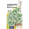Семена Алиссум Кристалл Белая Волна СемАлт Ц