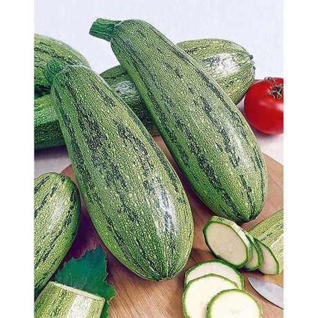 Кабачок Куанд "Кольчуга" НК