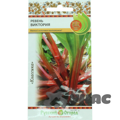 Ревень Виктория НК Ц