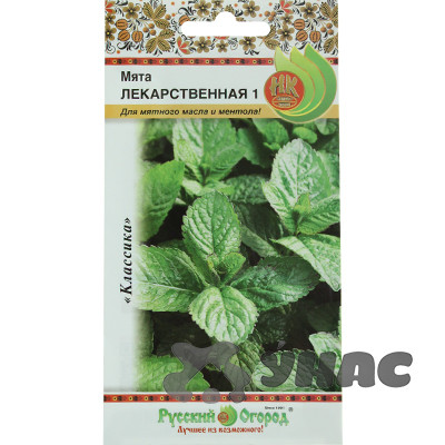 Мята Лекарственная НК Ц