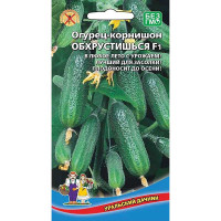 Огурец Обхрустишься МАРС Ц
