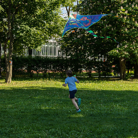 SILAPRO Воздушный змей "Мозаика", 1.6м, нейлон