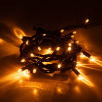 ЭРА Гирлянда-нить 3 м, 30LED желтый свет, черн. каучук,  220V, IP65 ERAPS-NZ1 60543