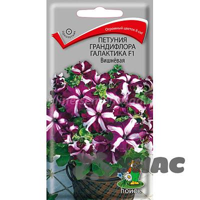 Петуния Галактика Вишневая Поиск Ц