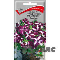 Петуния Галактика Вишневая Поиск Ц