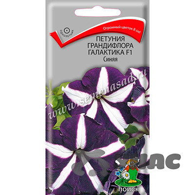 Петуния Галактика Синяя грандифл Поиск Ц