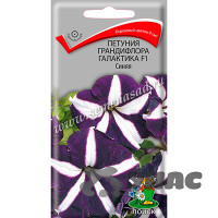Петуния Галактика Синяя грандифл Поиск Ц