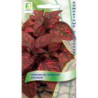 Семена Гипоэстес Мрамор Красный Поиск Ц х20