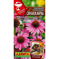 Эхинацея пурпурная Знахарь Аэлита Ц