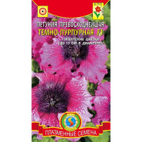 Петуния Темно-пурпурная превосходнейшая Плазма Ц