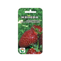 Клубника Женева СибСад Ц