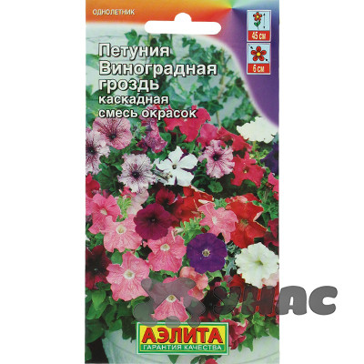 Петуния Виноградная гроздь каскад. Аэлита Ц