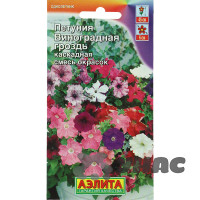 Петуния Виноградная гроздь каскад. Аэлита Ц