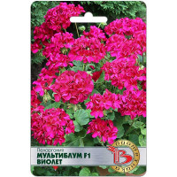 Пеларгония Мультиблум Виолет Биотехника Ц