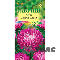 Астра Седая дама Гавриш Ц