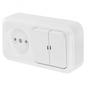 Bylectrica Пралеска блок (роз. 16А + 2 кл. выкл. 10А) ОУ бел. (инд.) 2В-РЦ-565