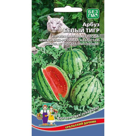 Арбуз Белый тигр Марс Ц