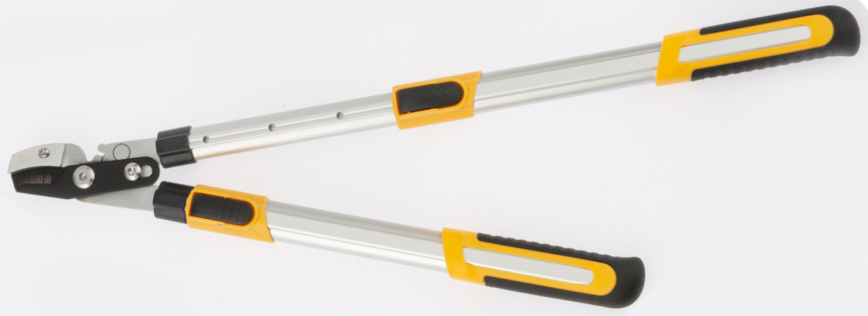 Набор: Сучкорез телескопический 22-29” и секатор прямого реза Denzel