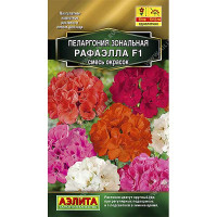КОМ Пеларгония Рафаэлла смесь Аэлита Ц