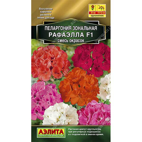 КОМ Пеларгония Рафаэлла смесь Аэлита Ц