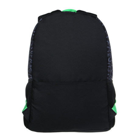 Попугай Кеша Рюкзак подростковый 40х30х15см, 1 отд., 4карм.(1на спинке), уплот.лямки, нашив.,нейлон