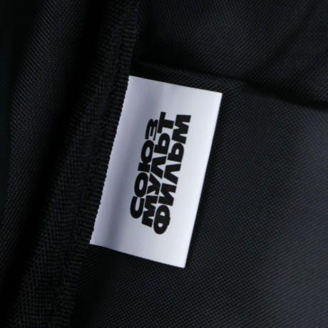 Попугай Кеша Рюкзак подростковый 40х30х15см, 1 отд., 4карм.(1на спинке), уплот.лямки, нашив.,нейлон