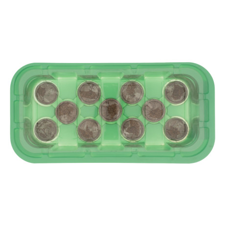 Мини-парник с крышкой, с торфяными таблетками, 240х125х50 мм, 11 ячеек, полистирол