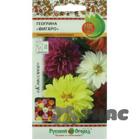 Георгин Фигаро смесь НК Ц