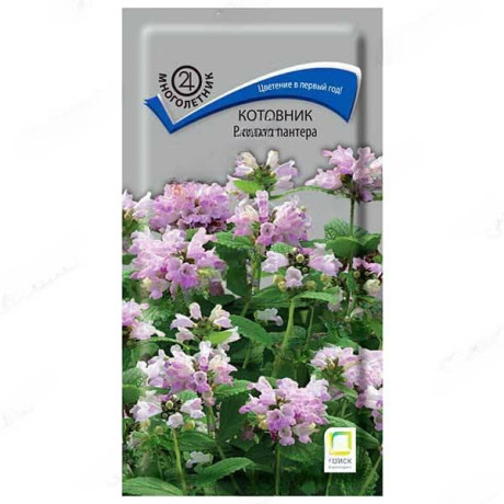 Котовник Розовая пантера Поиск Ц