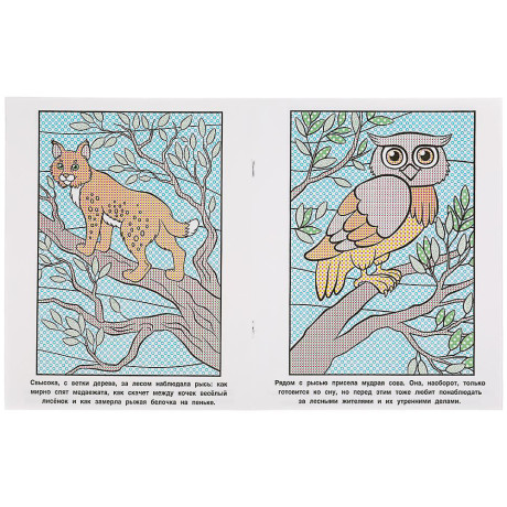 УМКА Раскраска "Раскрась водой", бумага, 20х25 см, 8 стр., 5 дизайнов