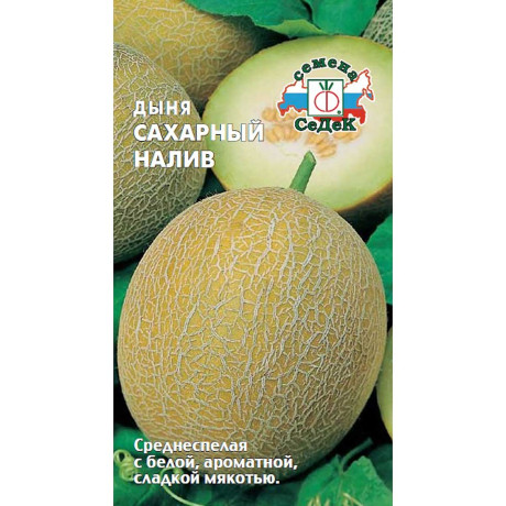Дыня Сахарный налив Седек Ц /10 шт