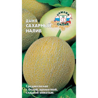 Дыня Сахарный налив Седек Ц /10 шт
