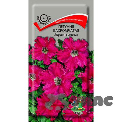 Петуния Афродита розовая бахромч Поиск Ц
