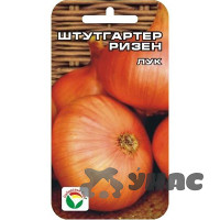Лук Штуттгартер ризен СибСад Ц